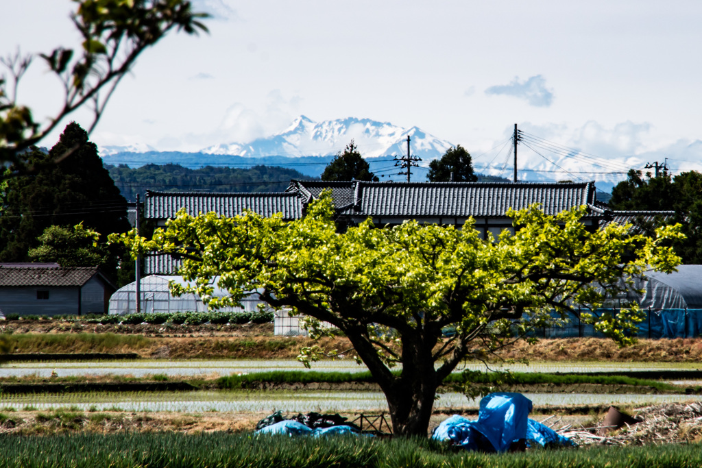 自宅から（八海山）