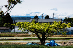 自宅から（八海山）