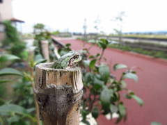 最上階の展望