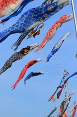 5月5日