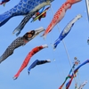 5月5日