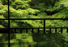 深緑