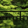 深緑