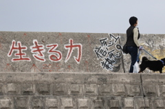 生きる力　（１）