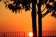 夕日