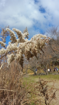 冬の公園 5