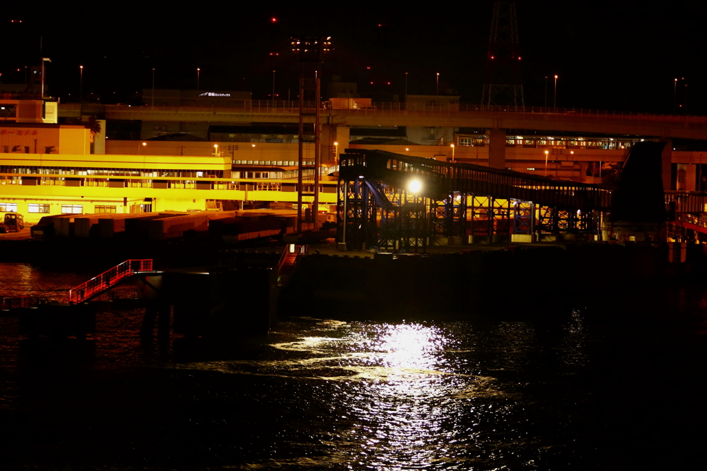 フェリーから見る風景（南港と阪神高速）