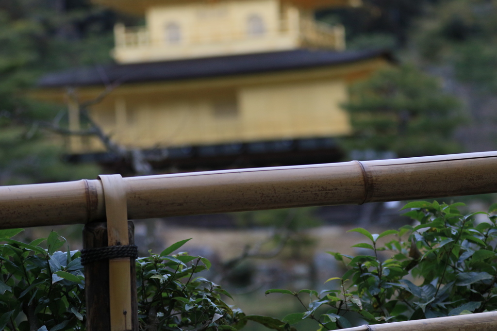 金閣寺