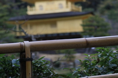 金閣寺