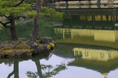 冬の金閣寺