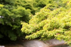 八瀬比叡山口