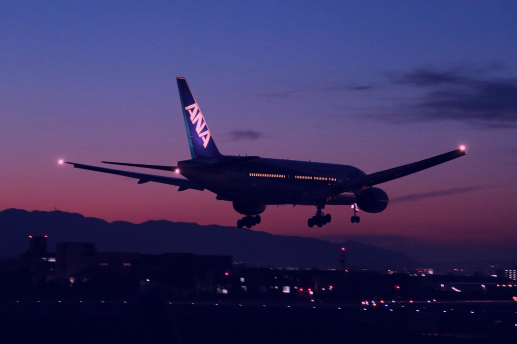AIRPORT(1）