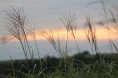 夕焼け