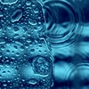 雨粒の中の小宇宙
