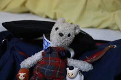 羊と猿に囲まれて