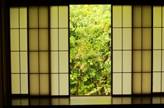 シンメトリー