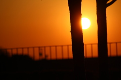 夕日