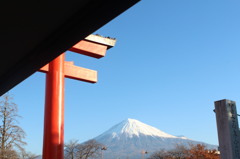 富士