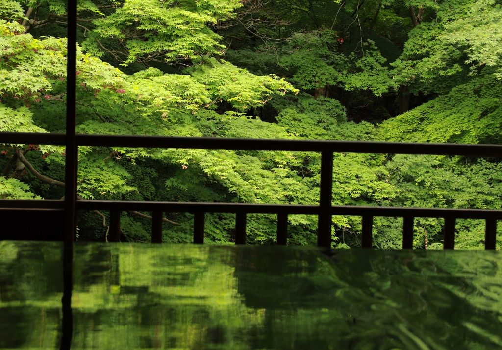 深緑の中の静寂