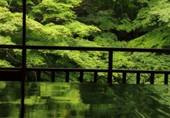 深緑の中の静寂
