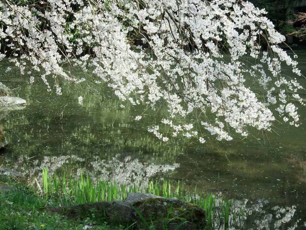 京都御苑