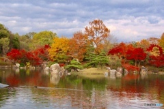 紅葉と池
