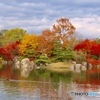 紅葉と池