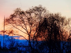 夕焼け3