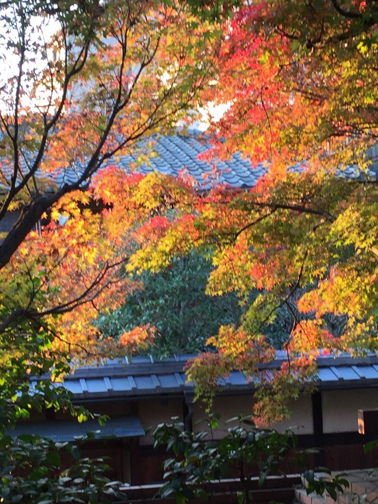 紅葉