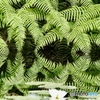 花模様②