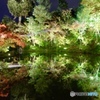水面に映るライトアップ