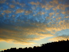 夕焼け1