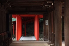 神秘