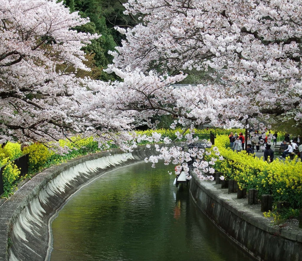 山科川