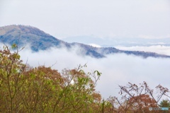 雲海1
