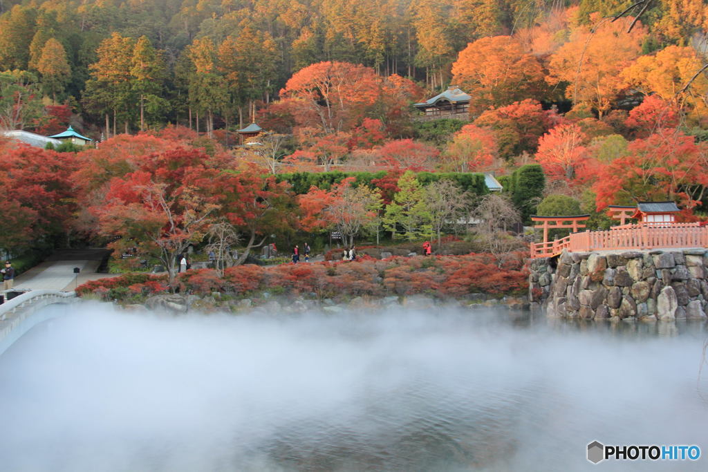 幻想の紅葉