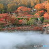 幻想の紅葉