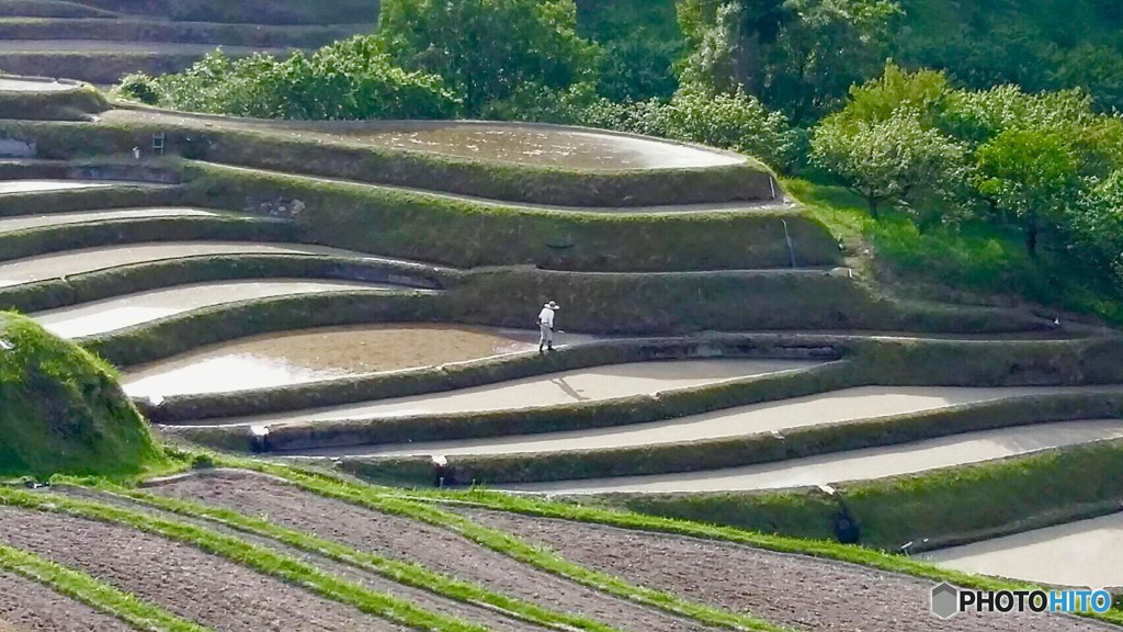 千早赤阪村2