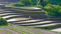 千早赤阪村2