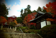 境内の紅葉02