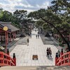 住吉大社 参道