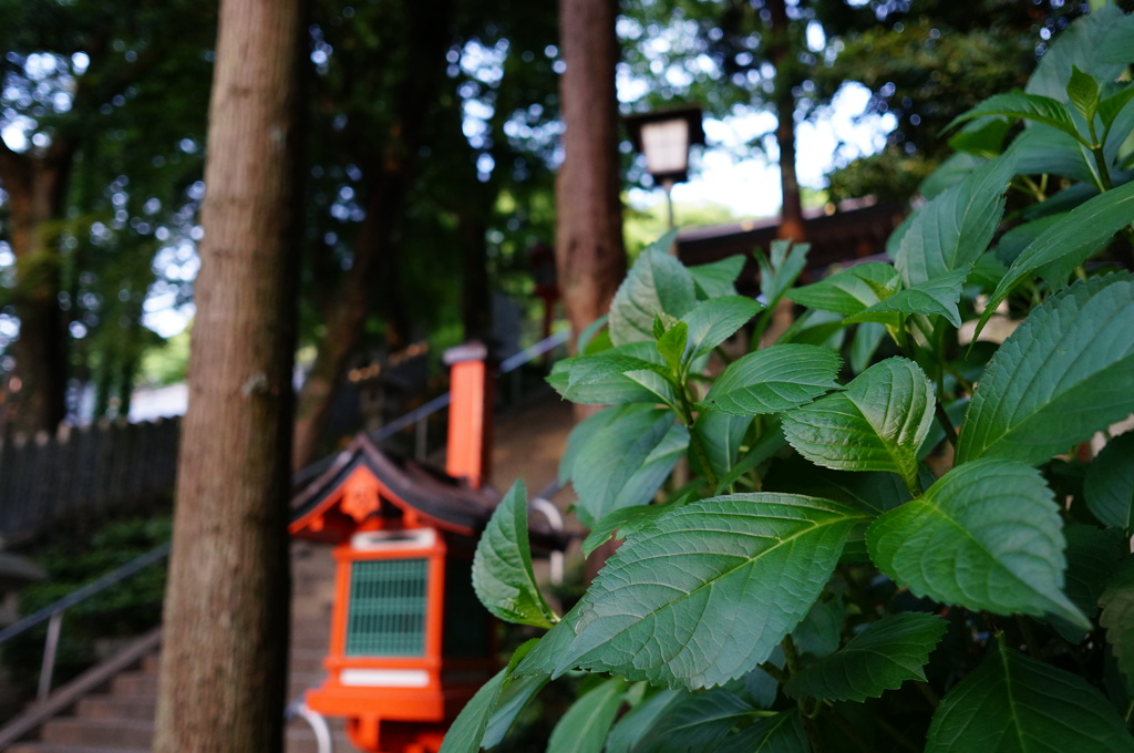 神社の風景