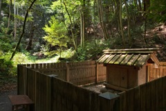 神社の境内にて
