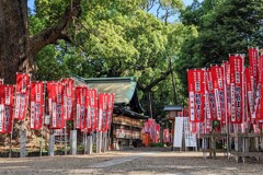 住吉大社 楠珺社 境内