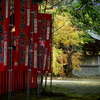 境内の紅葉03