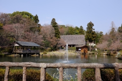植物園の合掌造り