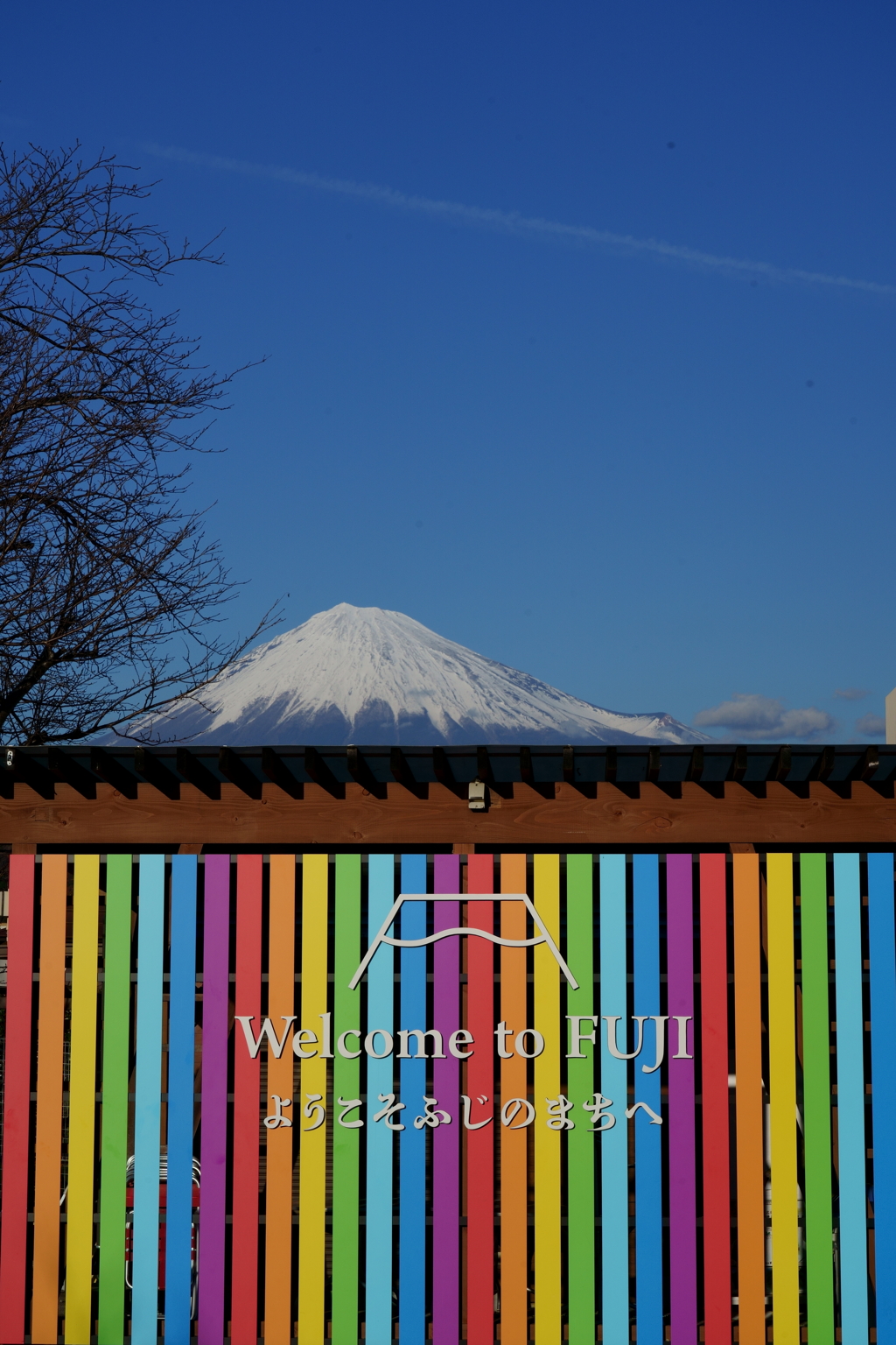 Welcome to FUJI