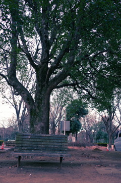 公園のベンチ