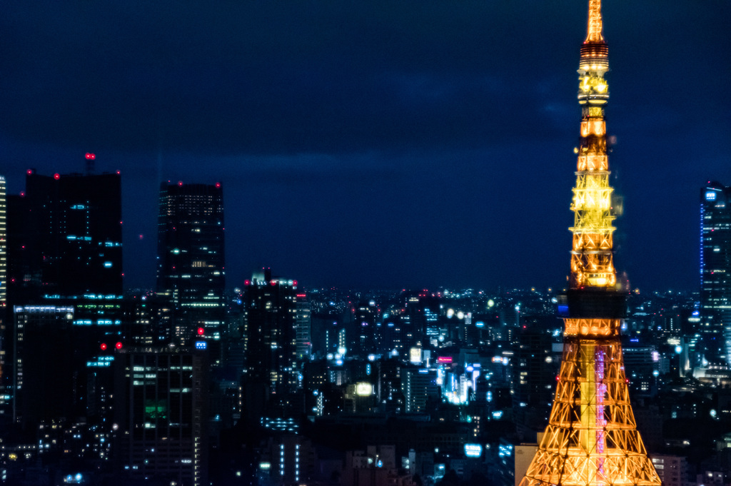 東京タワー反射