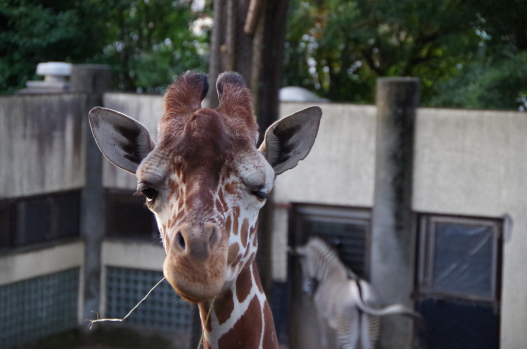 きれいに撮ってね♪